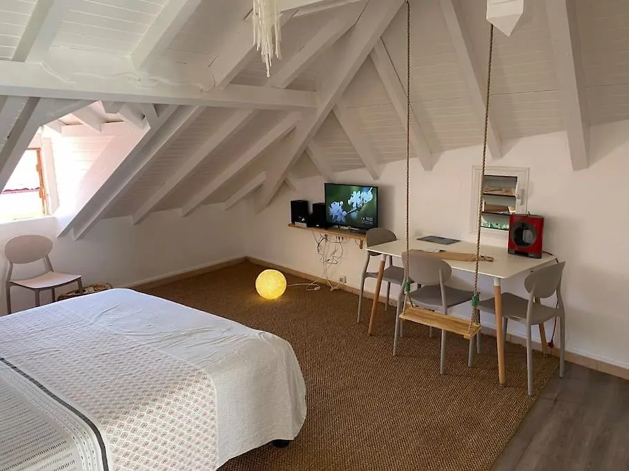 Studio De L'Embarcadere Apartment Terre-De-Haut