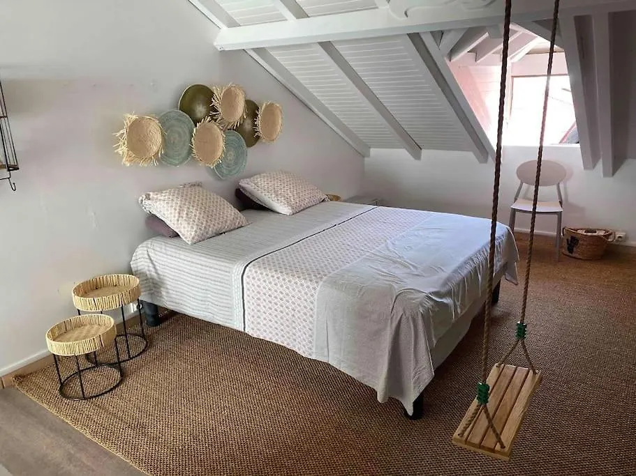 Studio De L'Embarcadere Apartment Terre-De-Haut