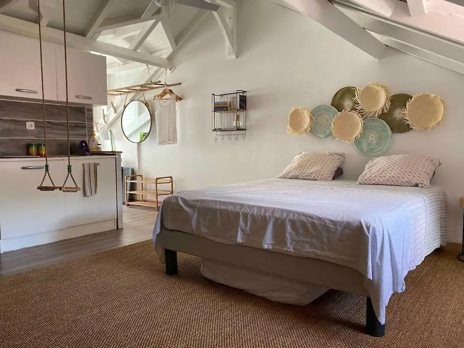 Ferienwohnung Studio De L'Embarcadere Terre-De-Haut Apartment